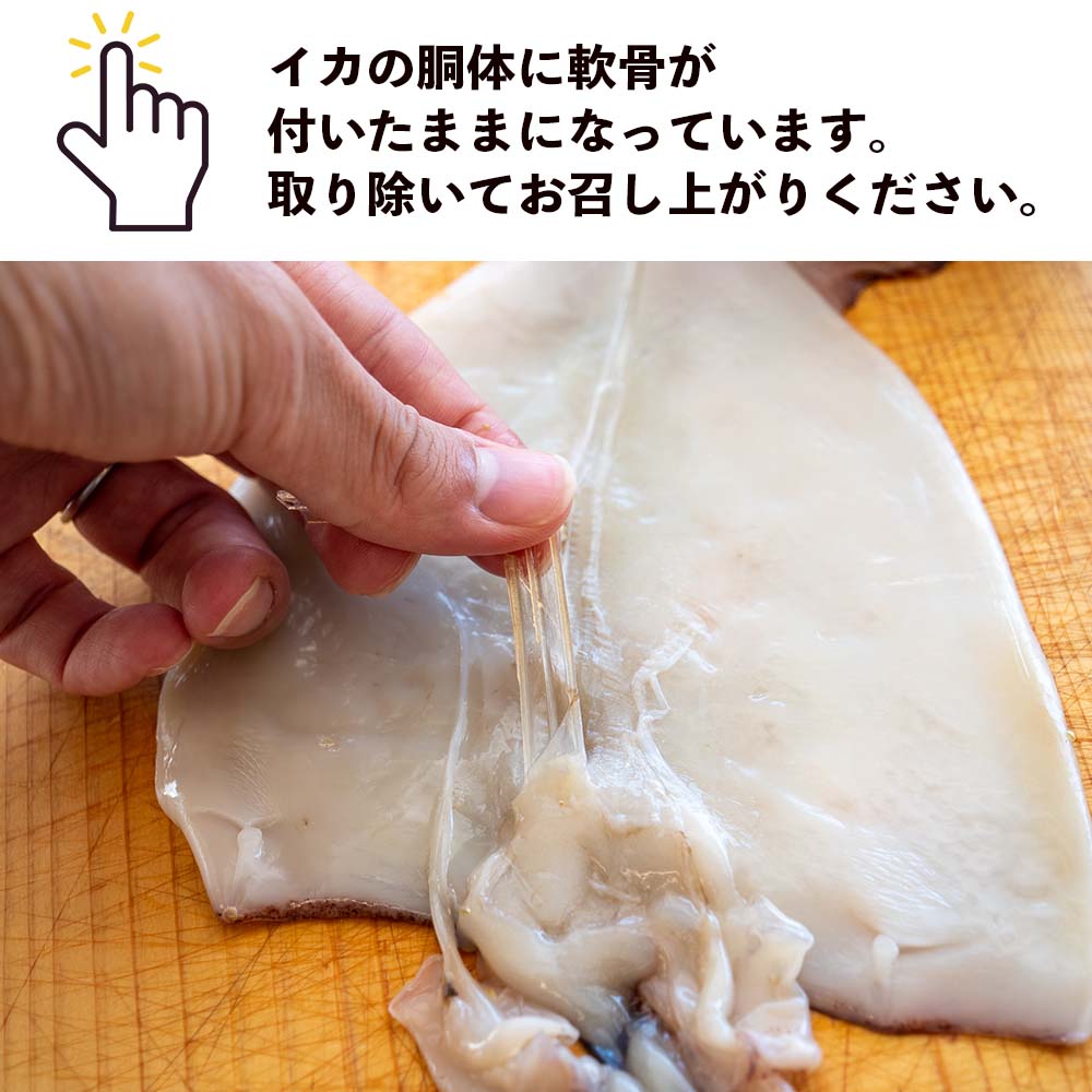【高知県・加領郷産】スルメイカの一日干し3枚