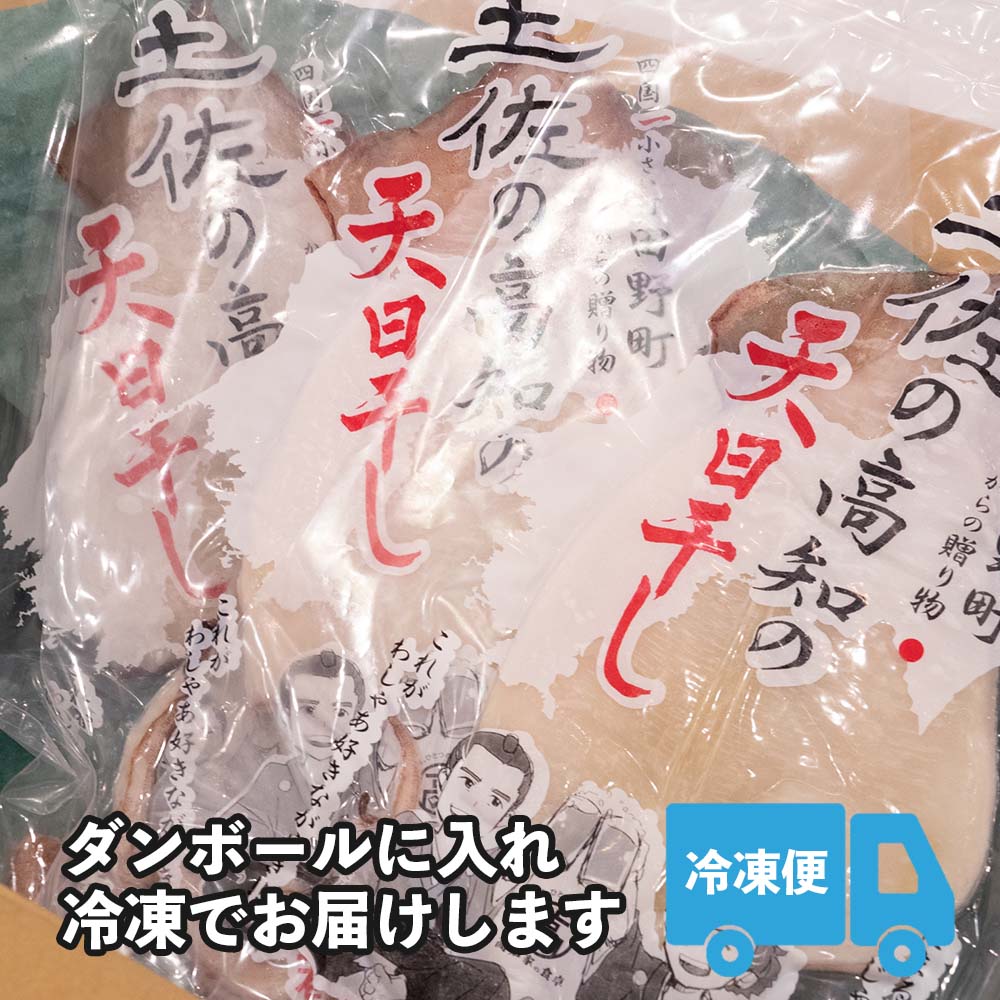 【高知県・加領郷産】スルメイカの一日干し3枚