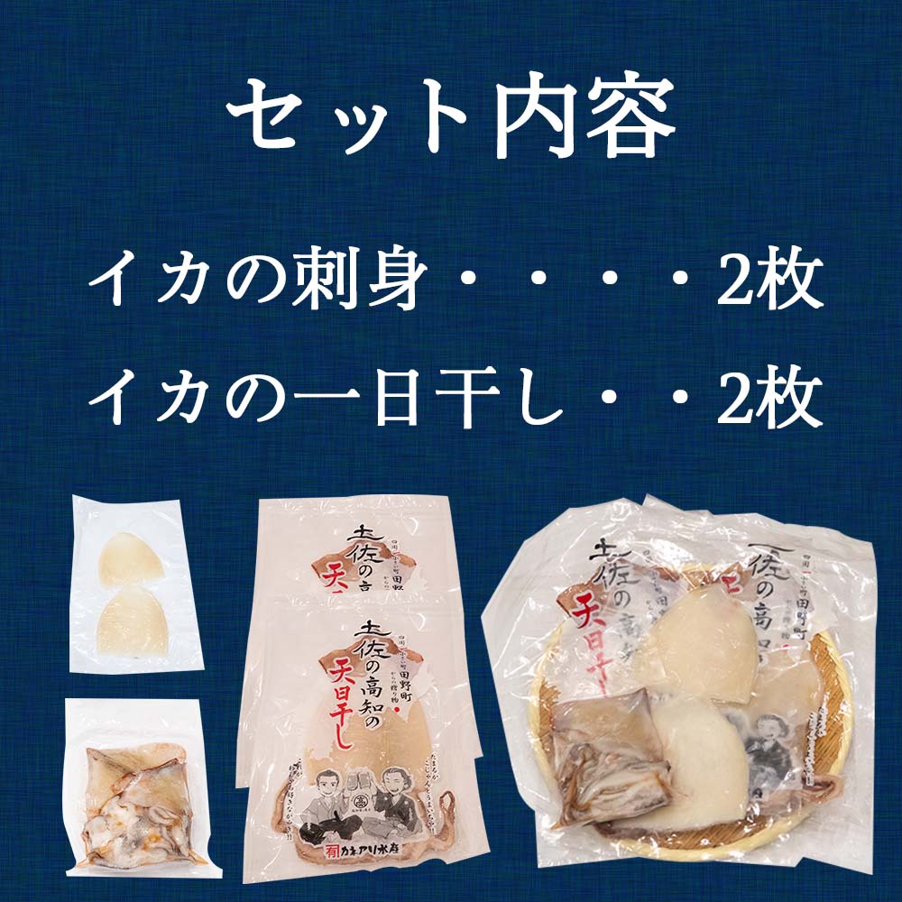 【高知県・加領郷産】スルメイカ刺身用2匹分&一日干し2枚セット