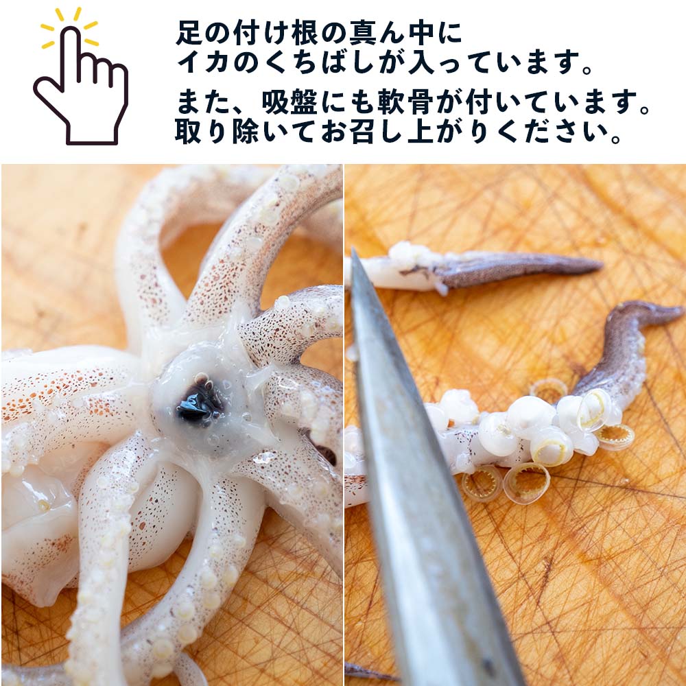 【高知県・加領郷産】スルメイカ刺身用2匹分&一日干し2枚セット