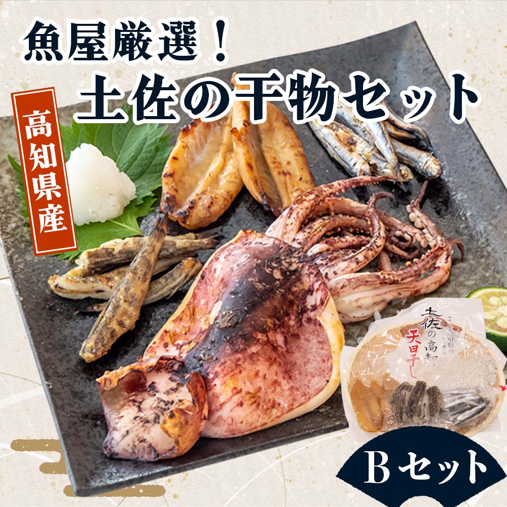 魚屋厳選!土佐の干物Bセット【イカ1日干し・メヒカリ・フグ・カタクチイワシ・ちりめん】