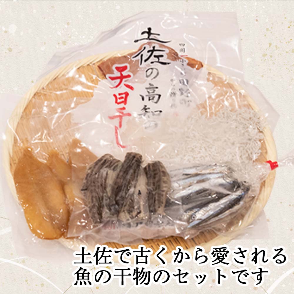魚屋厳選!土佐の干物Bセット【イカ1日干し・メヒカリ・フグ・カタクチイワシ・ちりめん】