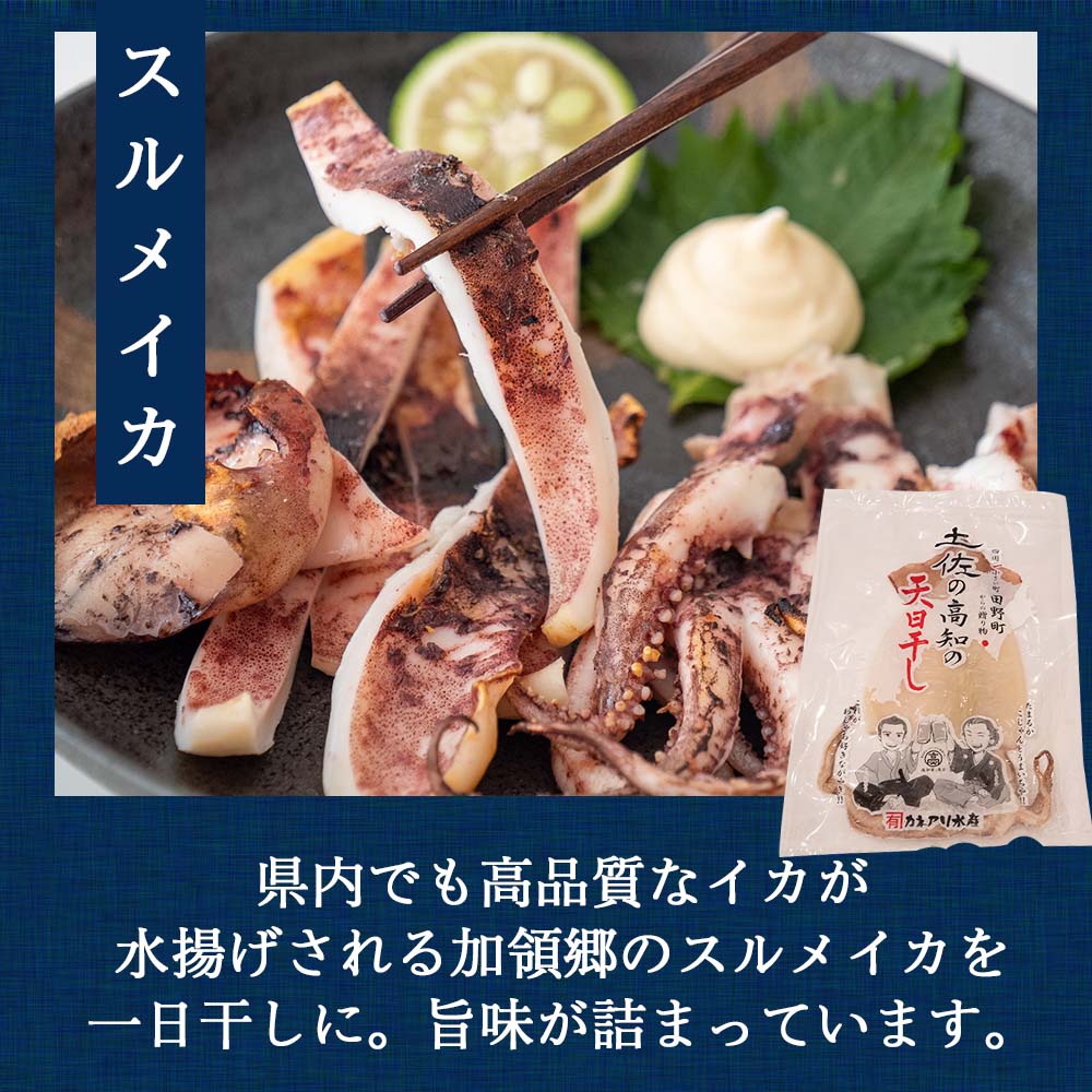 魚屋厳選!土佐の干物Bセット【イカ1日干し・メヒカリ・フグ・カタクチイワシ・ちりめん】