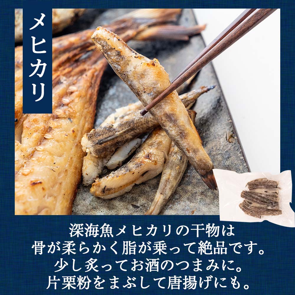 魚屋厳選!土佐の干物Bセット【イカ1日干し・メヒカリ・フグ・カタクチイワシ・ちりめん】