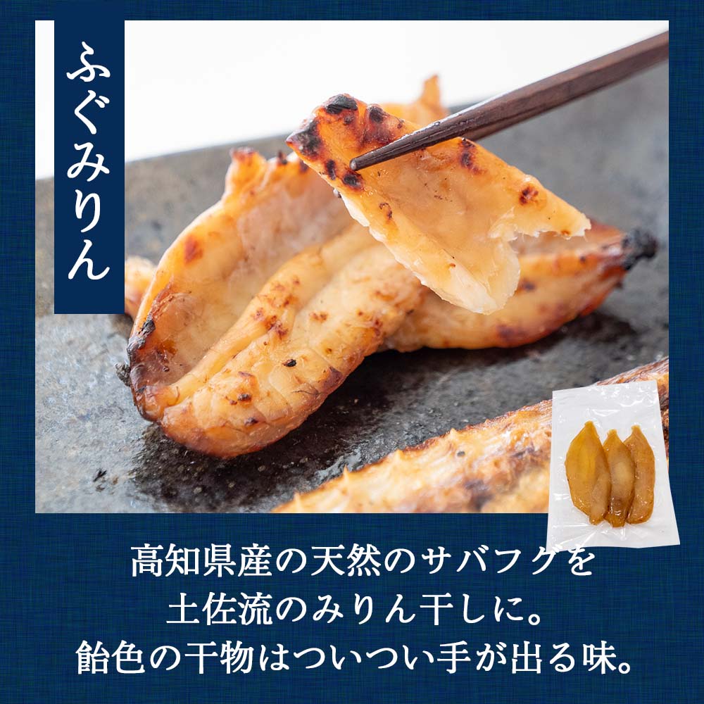 魚屋厳選!土佐の干物Bセット【イカ1日干し・メヒカリ・フグ・カタクチイワシ・ちりめん】