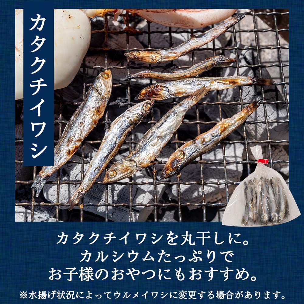 魚屋厳選!土佐の干物Bセット【イカ1日干し・メヒカリ・フグ・カタクチイワシ・ちりめん】