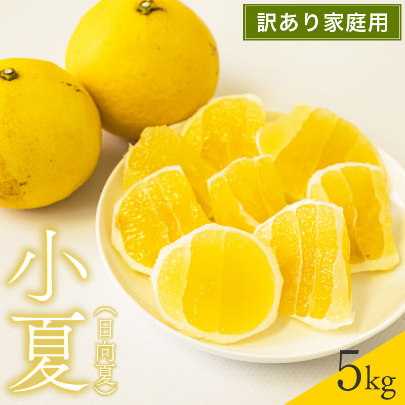 【栽培期間中農薬不使用】 高知県・須崎産 小夏(日向夏) 5kg【まるはな農園】【柑橘】