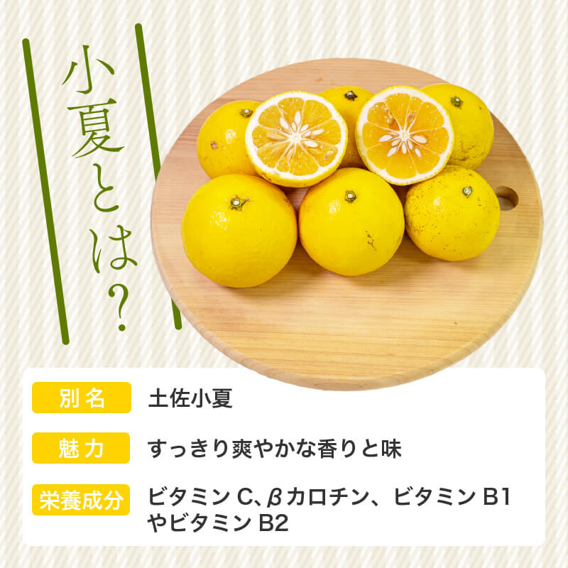 【栽培期間中農薬不使用】 高知県・須崎産 小夏(日向夏) 5kg【まるはな農園】【柑橘】