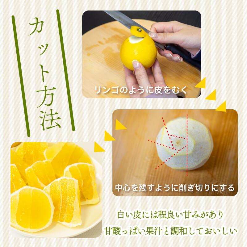 【栽培期間中農薬不使用】 高知県・須崎産 小夏(日向夏) 5kg【まるはな農園】【柑橘】