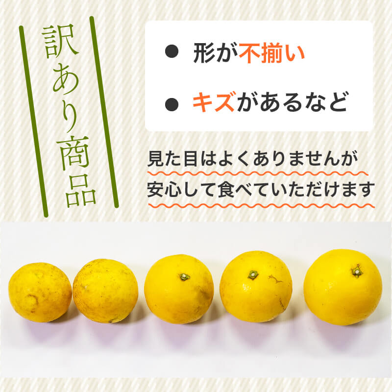 【栽培期間中農薬不使用】 高知県・須崎産 小夏(日向夏) 5kg【まるはな農園】【柑橘】