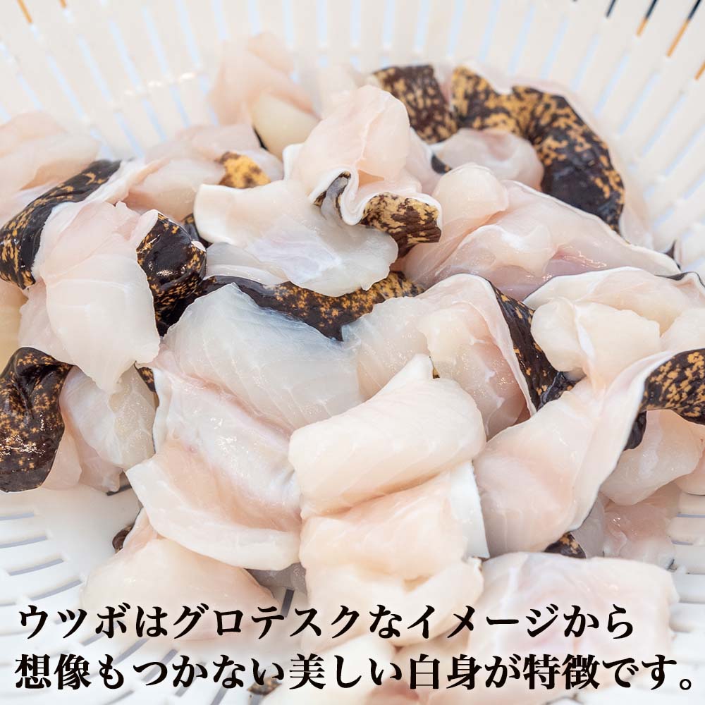 かつおのタタキとうつぼのセット【カツオ】