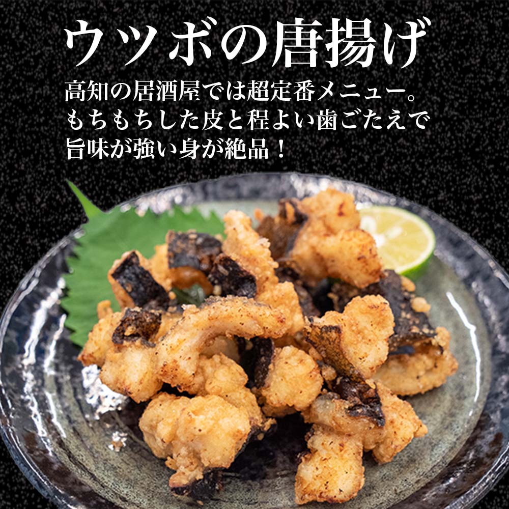 かつおのタタキとうつぼのセット【カツオ】