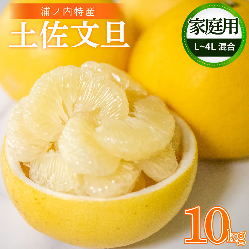 【今季終了】土佐文旦 家庭用 10kg【高知県須崎市・明神果樹園】【柑橘】