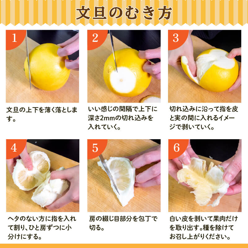 【今季終了】土佐文旦 家庭用 10kg【高知県須崎市・明神果樹園】【柑橘】