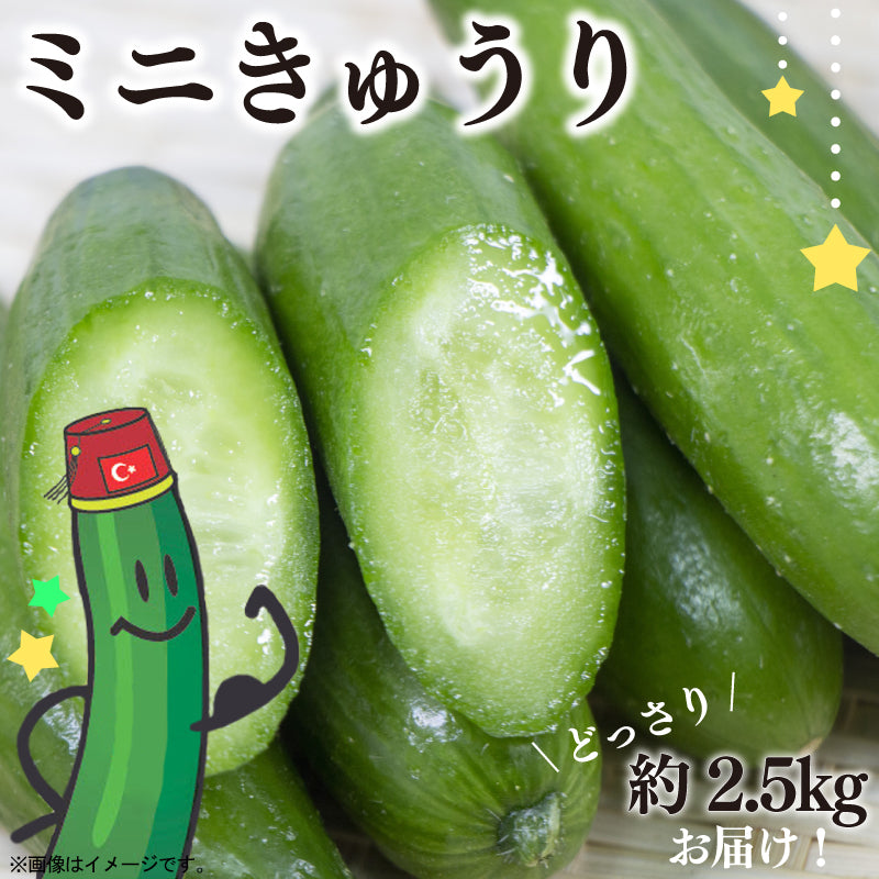 きゅうり Amazon | 株式会社トーホク キュウリ ときわかぜみどり 03835 | 野菜