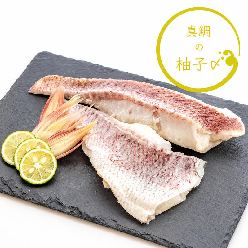 【豪華セット】高知県産 真鯛の炙り・湯引き・ゆず締めセット【冷凍】