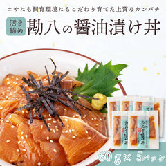 【解凍するだけ】高知県産 活き締め カンパチ漬け丼の素 5パック入り 【冷凍】