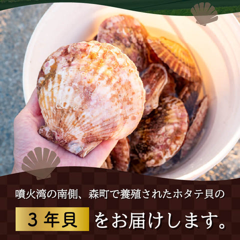 北海道・噴火湾産 北の森町 殻付き生ホタテ 3年貝 無選別品 約2.5kg