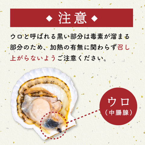 北海道・噴火湾産 北の森町 殻付き生ホタテ 3年貝 無選別品 約2.5kg