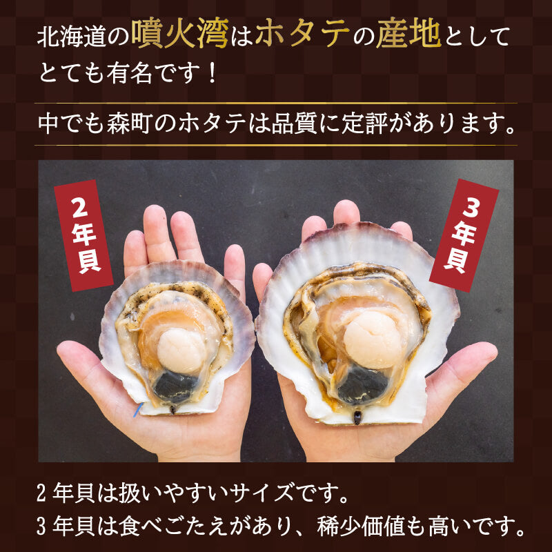 北海道・噴火湾産 北の森町 殻付き生ホタテ 2年貝 無選別品 約2.5kg