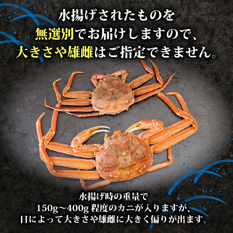 オオズワイガニ 無選別品 生でお届け!