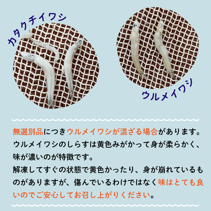 【訳あり】 高知県須崎市産 釜揚げしらす 2kg (200g x 10パック)