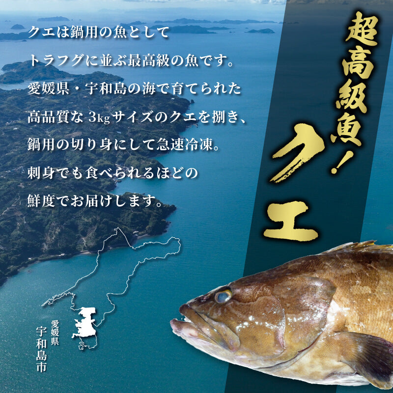 愛媛県・宇和島産クエ 鍋用650g(切り身300g・アラ350g)