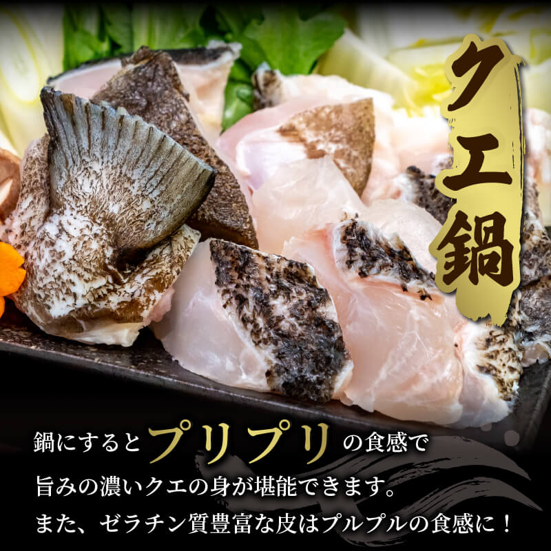 愛媛県・宇和島産クエ 鍋用650g(切り身300g・アラ350g)