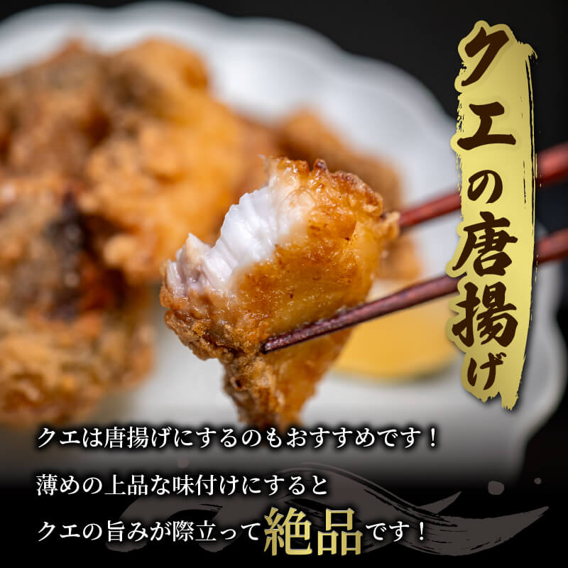 愛媛県・宇和島産クエ 鍋用650g(切り身300g・アラ350g)