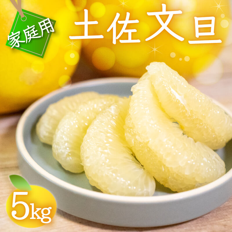 訳あり 文旦 家庭用 5kg【高知県須崎市・NPOまちづくり須崎】【柑橘】
