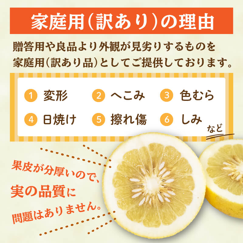 訳あり 文旦 家庭用 5kg【高知県須崎市・NPOまちづくり須崎】【柑橘】