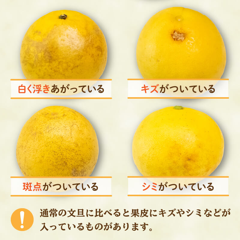 訳あり 文旦 家庭用 5kg【高知県須崎市・NPOまちづくり須崎】【柑橘】