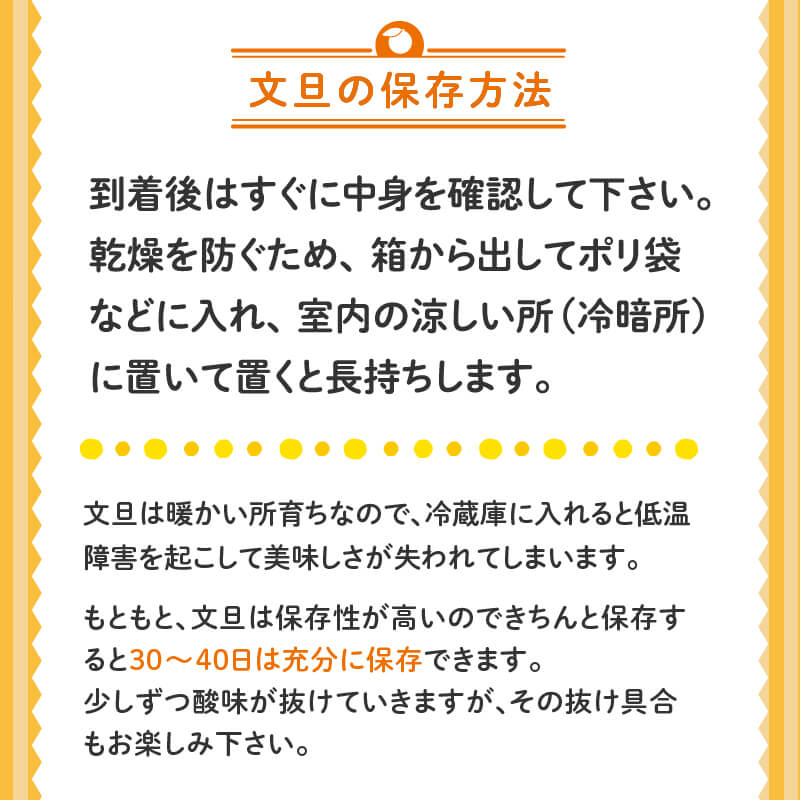 訳あり 文旦 家庭用 5kg【高知県須崎市・NPOまちづくり須崎】【柑橘】
