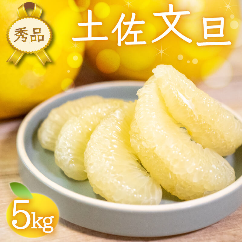 文旦 秀品 5kg【高知県須崎市・NPOまちづくり須崎】【柑橘】