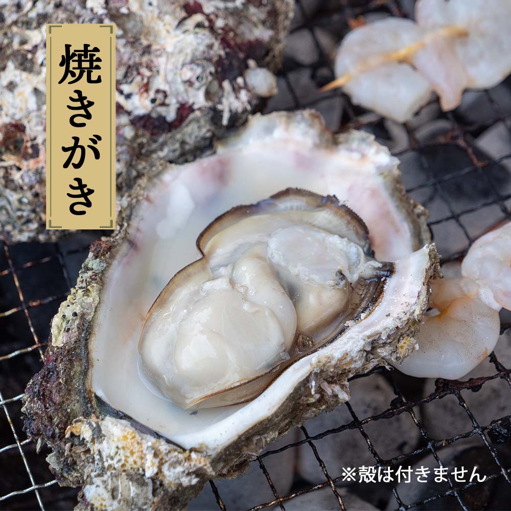 【6〜9月限定】高知産・天然岩牡蠣 むき身(冷凍)