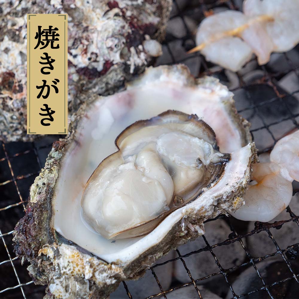 【6〜8月限定】【訳あり】高知産・天然岩牡蠣 殻付き 1個【お届け日指定不可】