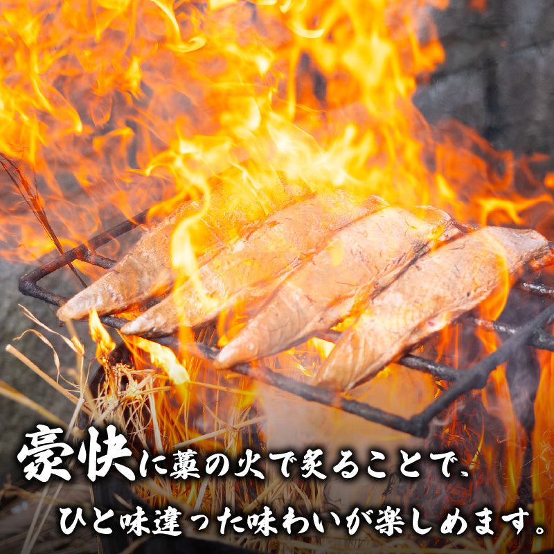 高知県産!鰹の藁焼きたたき 1.2kg 3〜8節