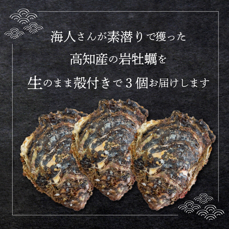 【夏限定】高知産・天然岩牡蠣 殻付き 3個【お届け日指定不可】