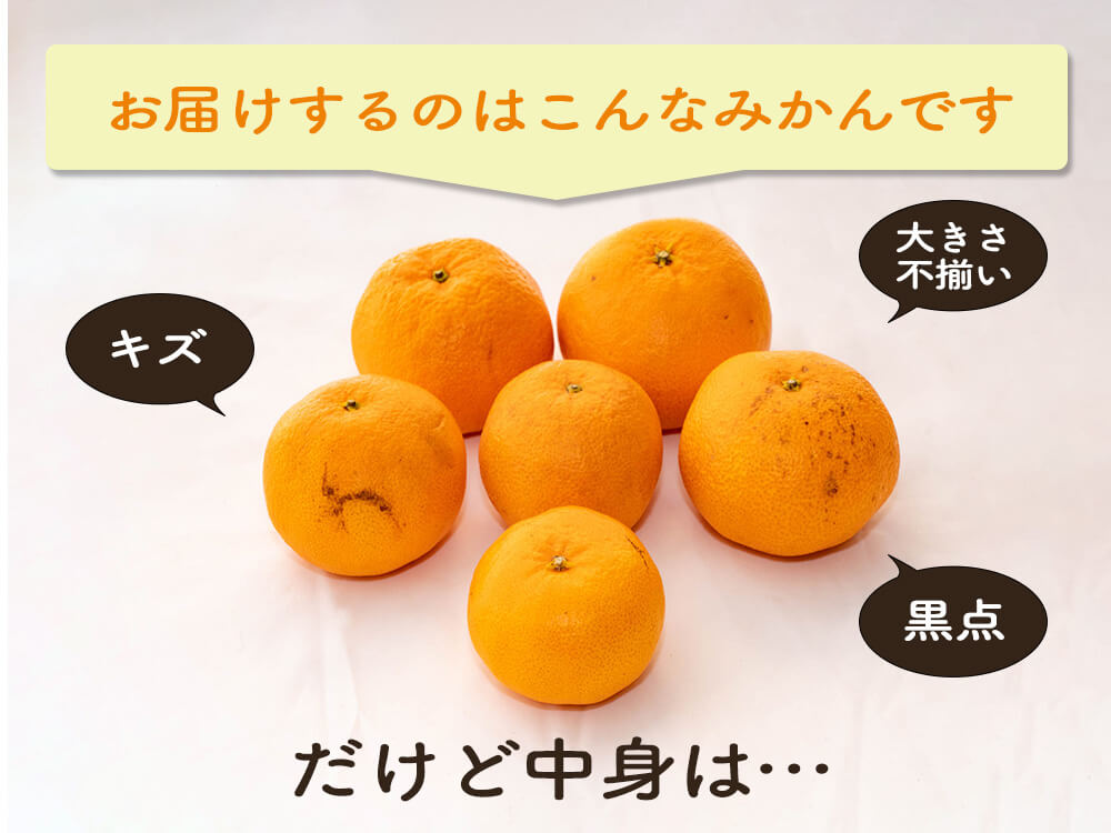 【今季終了】超希少な新品種みかん 西南のひかり 3kg【高知県宿毛市・なるた果樹園】【柑橘】