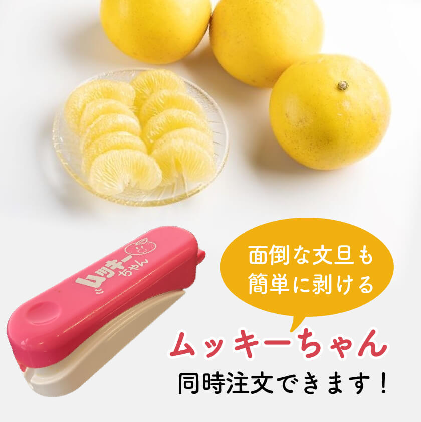 【今季終了】宿毛産・土佐文旦5kg(ご家庭用)【高知県宿毛市・なるた果樹園】【柑橘】