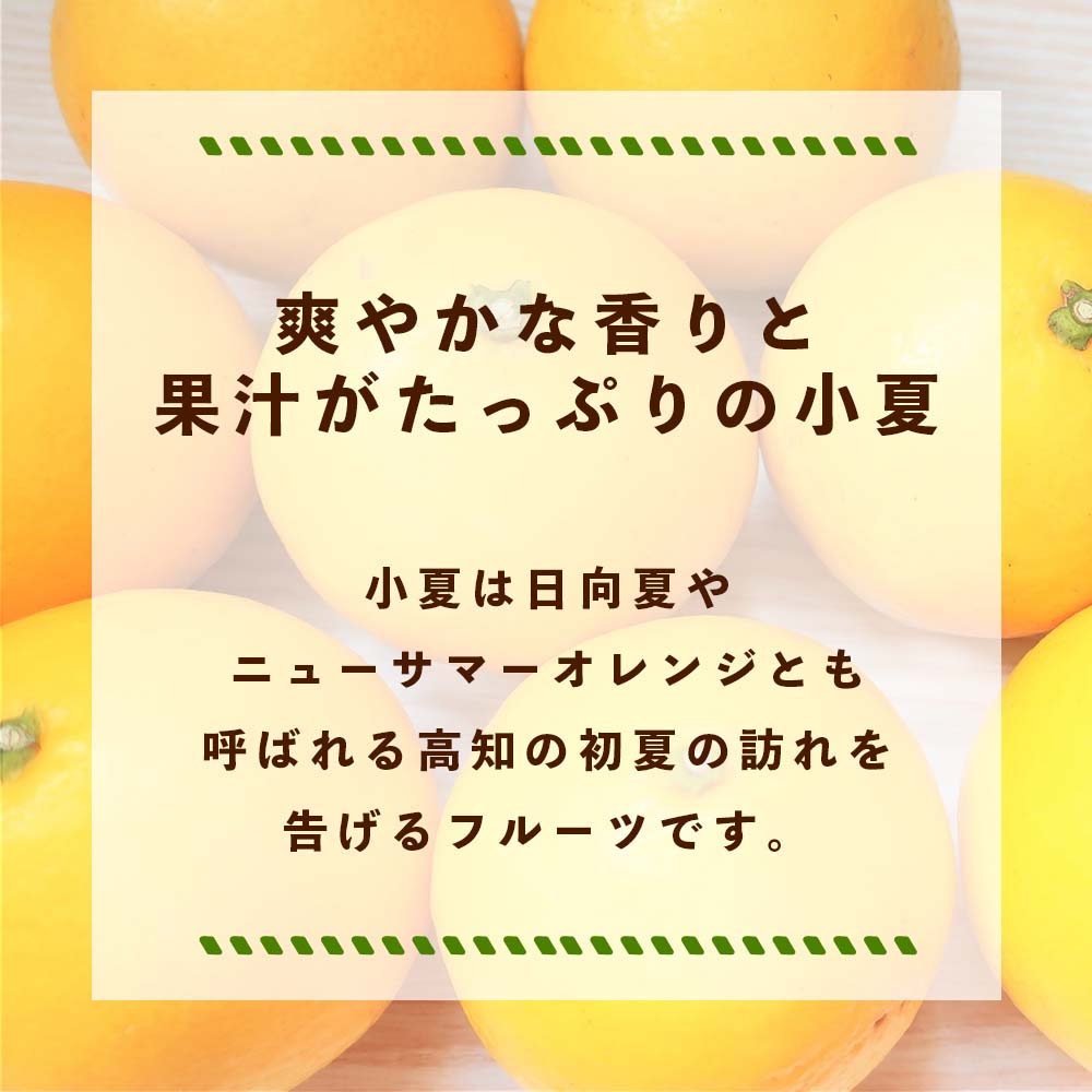 高知県宿毛産・小夏(日向夏)3kg(ご家庭用)【高知県宿毛市・なるた果樹園】【柑橘】