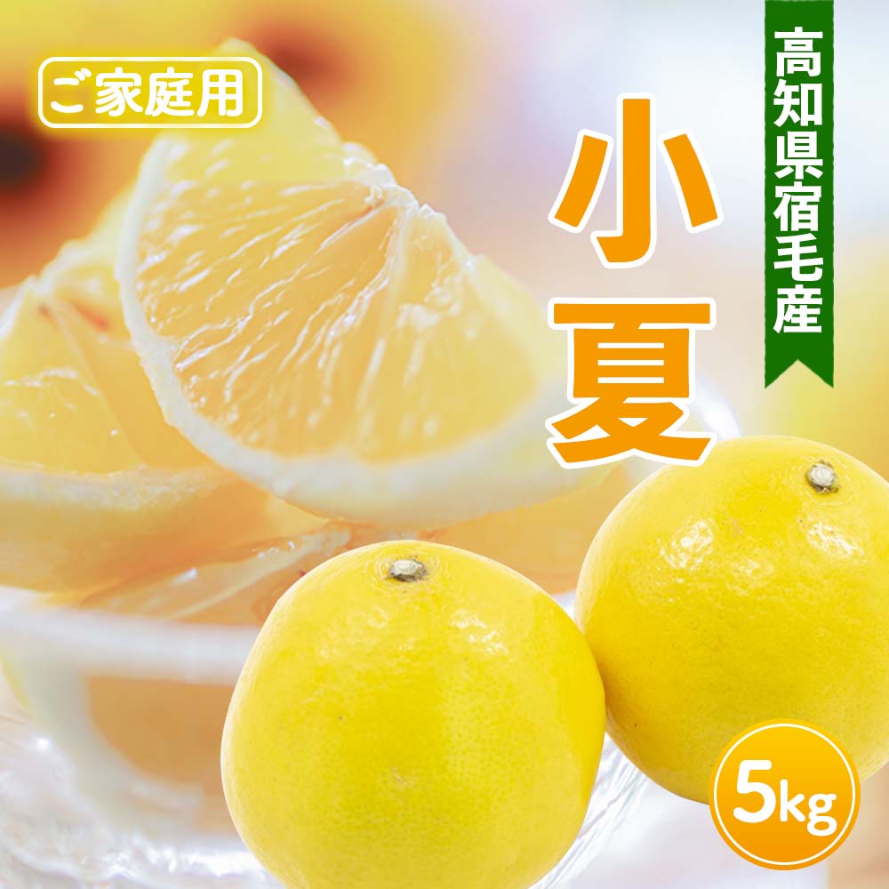 高知県宿毛産・小夏(日向夏)5kg(ご家庭用)【高知県宿毛市・なるた果樹園】【柑橘】