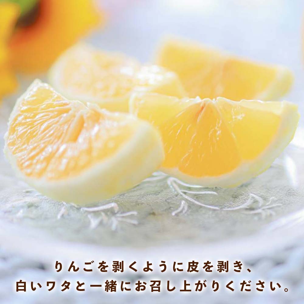 高知県宿毛産・小夏(日向夏)5kg(ご家庭用)【高知県宿毛市・なるた果樹園】【柑橘】