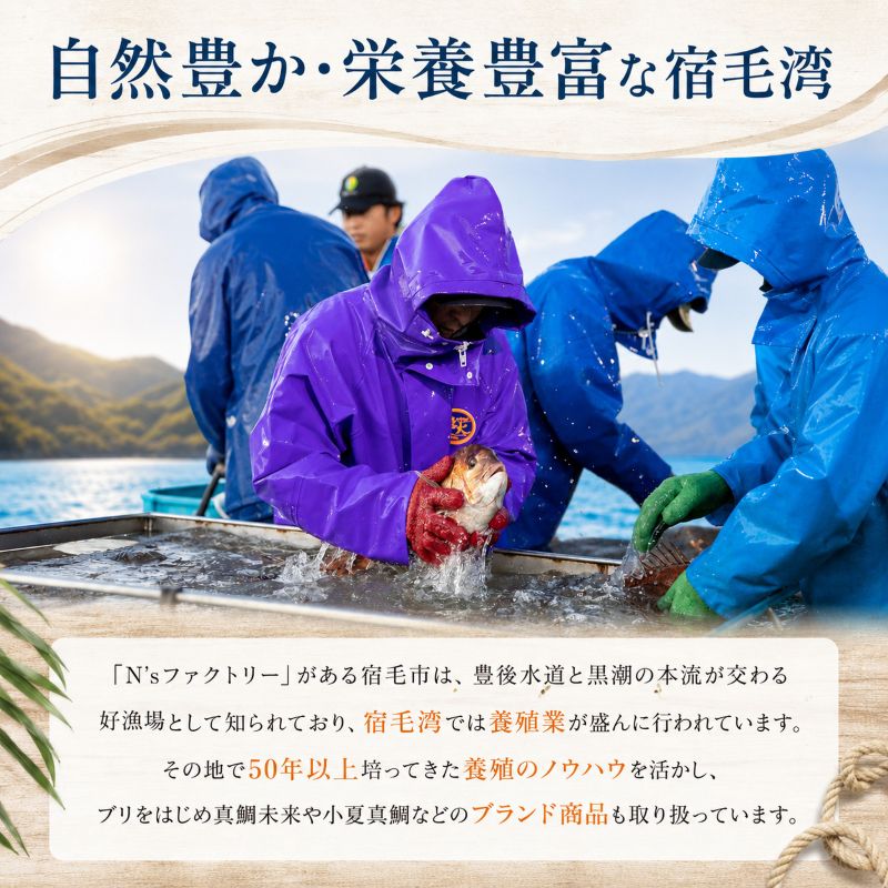 【選べる容量&加工状態】真鯛未来 皮付きフィーレ・ロイン/皮なしロイン【半身分/1尾分から選択可】