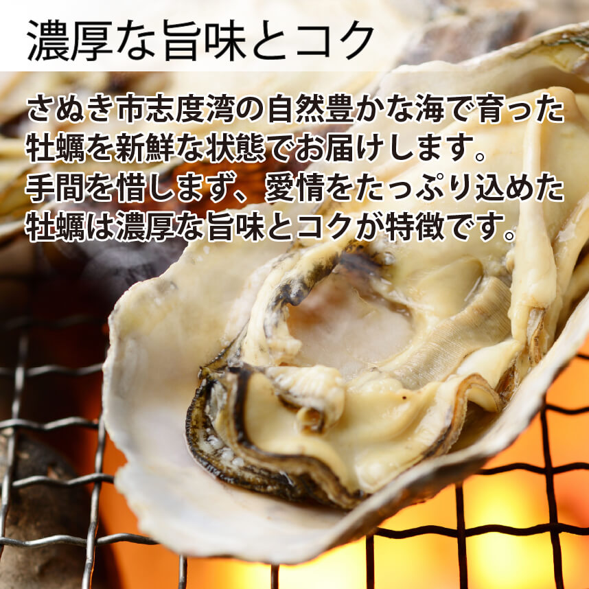【3/15最終受付】殻付き牡蠣レンチン用【香川県・志度湾産】