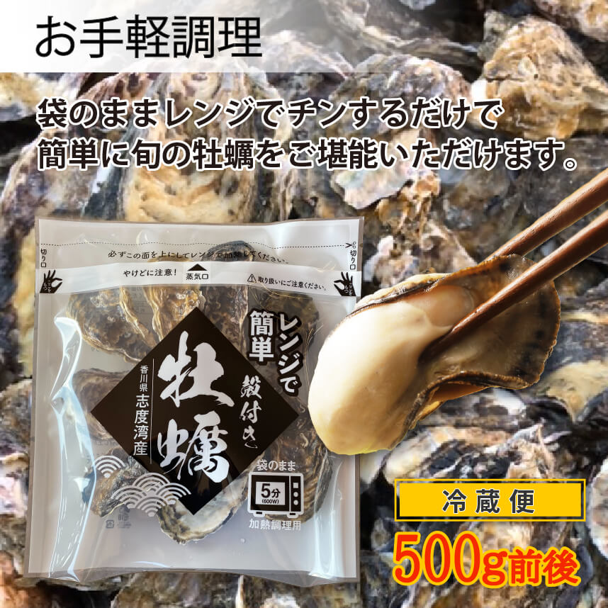 【3/15最終受付】殻付き牡蠣レンチン用【香川県・志度湾産】