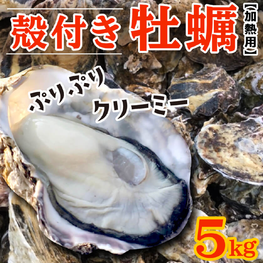 【3/15最終受付】殻付きカキ 約5kg(目安5人前)【香川県・志度湾産】