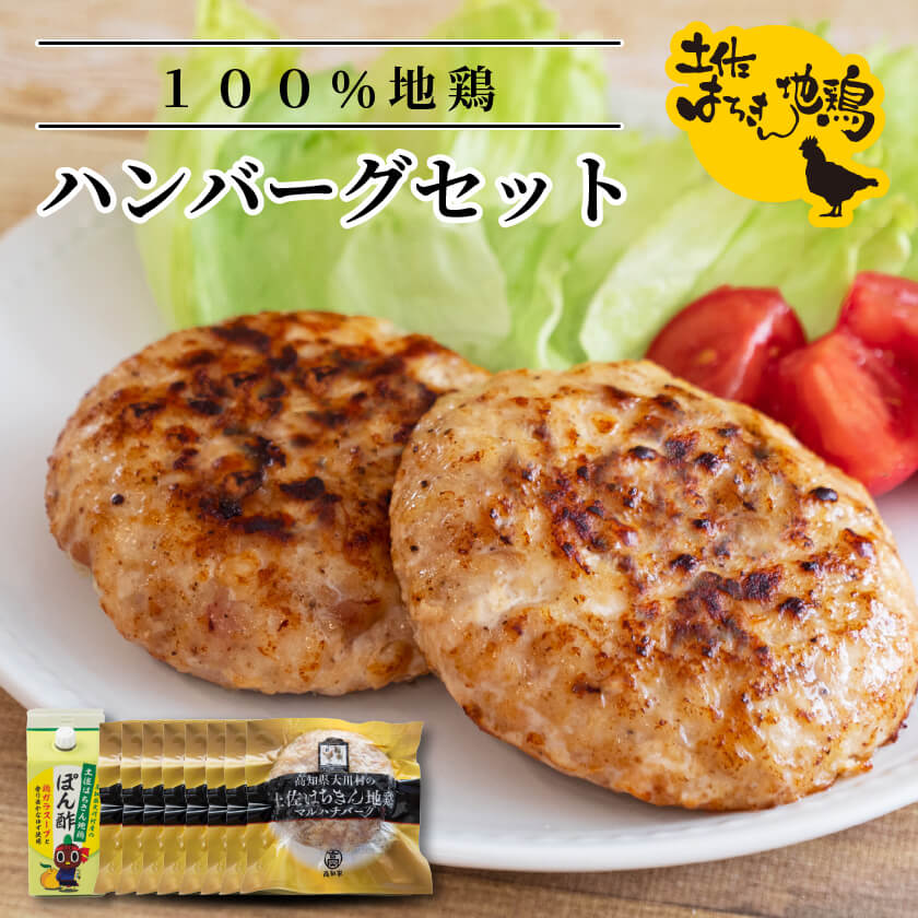 土佐はちきん地鶏ハンバーグセット 【お届け日指定不可】