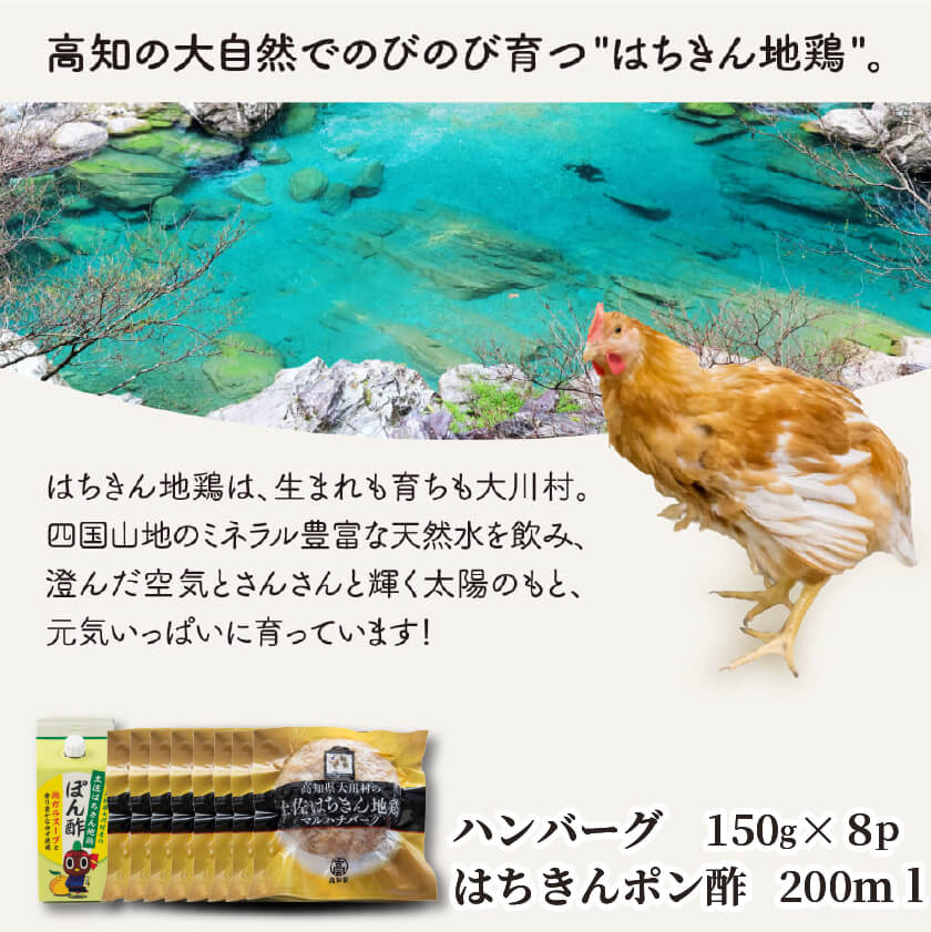 土佐はちきん地鶏ハンバーグセット 【お届け日指定不可】