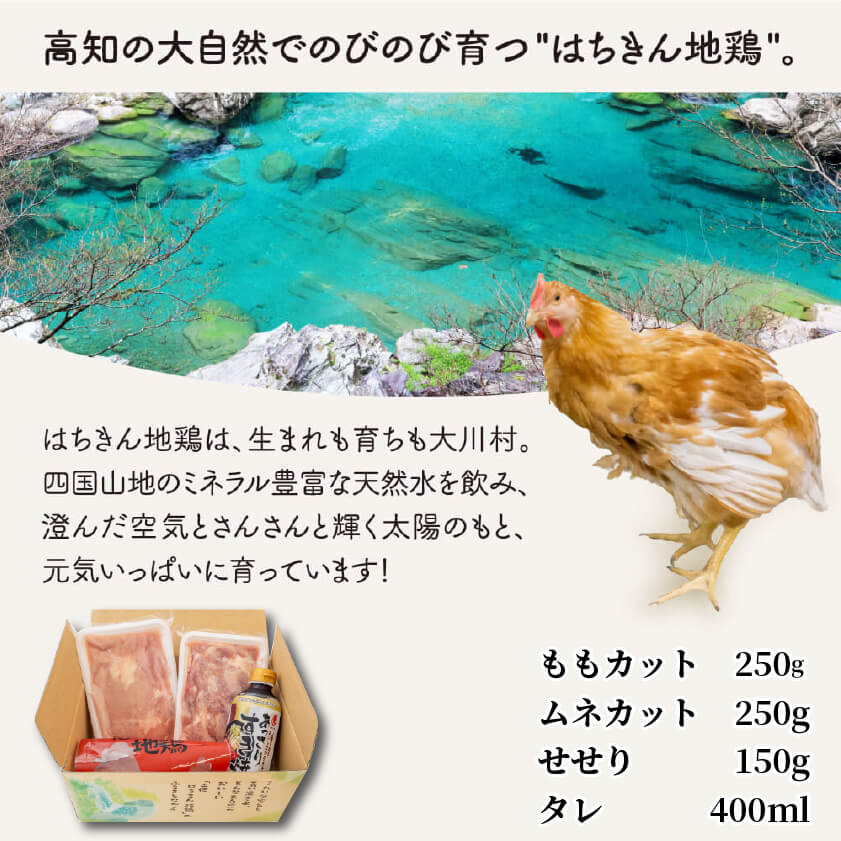 土佐はちきん地鶏すき焼きセット